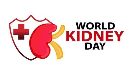 世界腎病日 北京佑安醫院健康咨詢活動與軟件開發在醫療中的創新應用